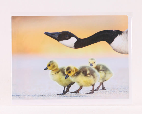 Keeping a Watchful Eye on the Little Ones - Greeting Card