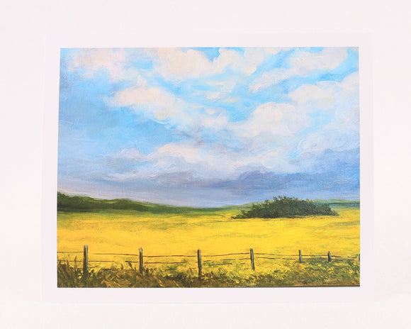 Canola Fields Art Print