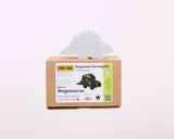 Stegosaurus Soapstone Carving Kits