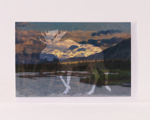 Rocky Mountain Moose - Greeting Card