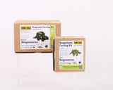 Stegosaurus Soapstone Carving Kits