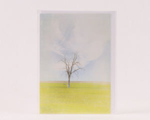 Lonesome Tree on the Prairie - Greeting Card