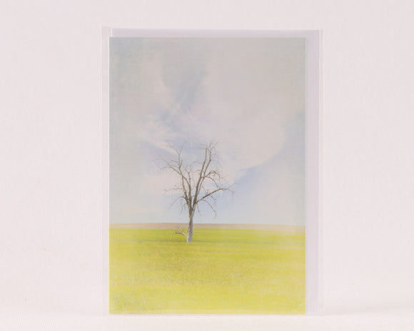 Lonesome Tree on the Prairie - Greeting Card